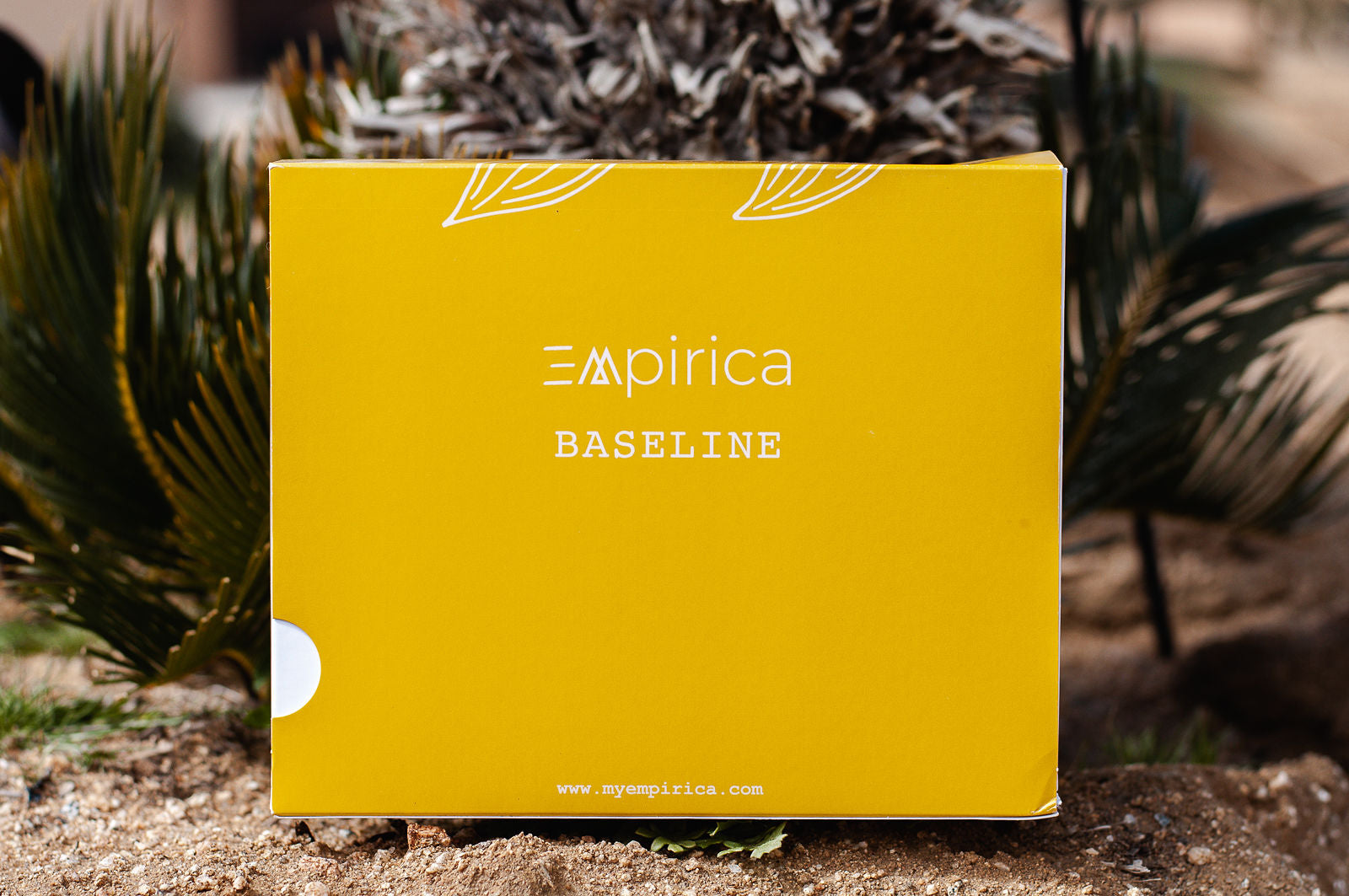 Baseline Protocol - Empirica Supplements