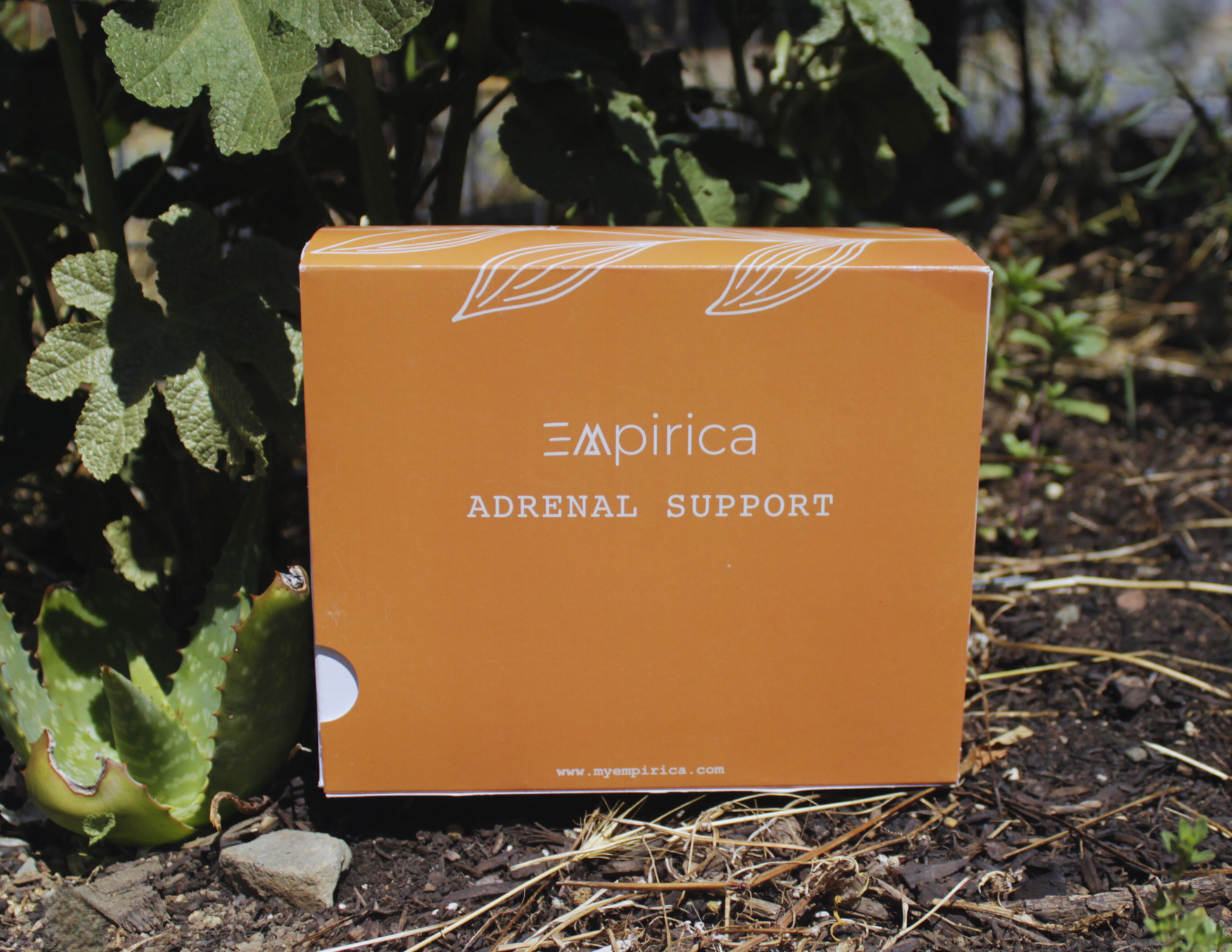 Adrenal Support Protocol - Empirica Supplements